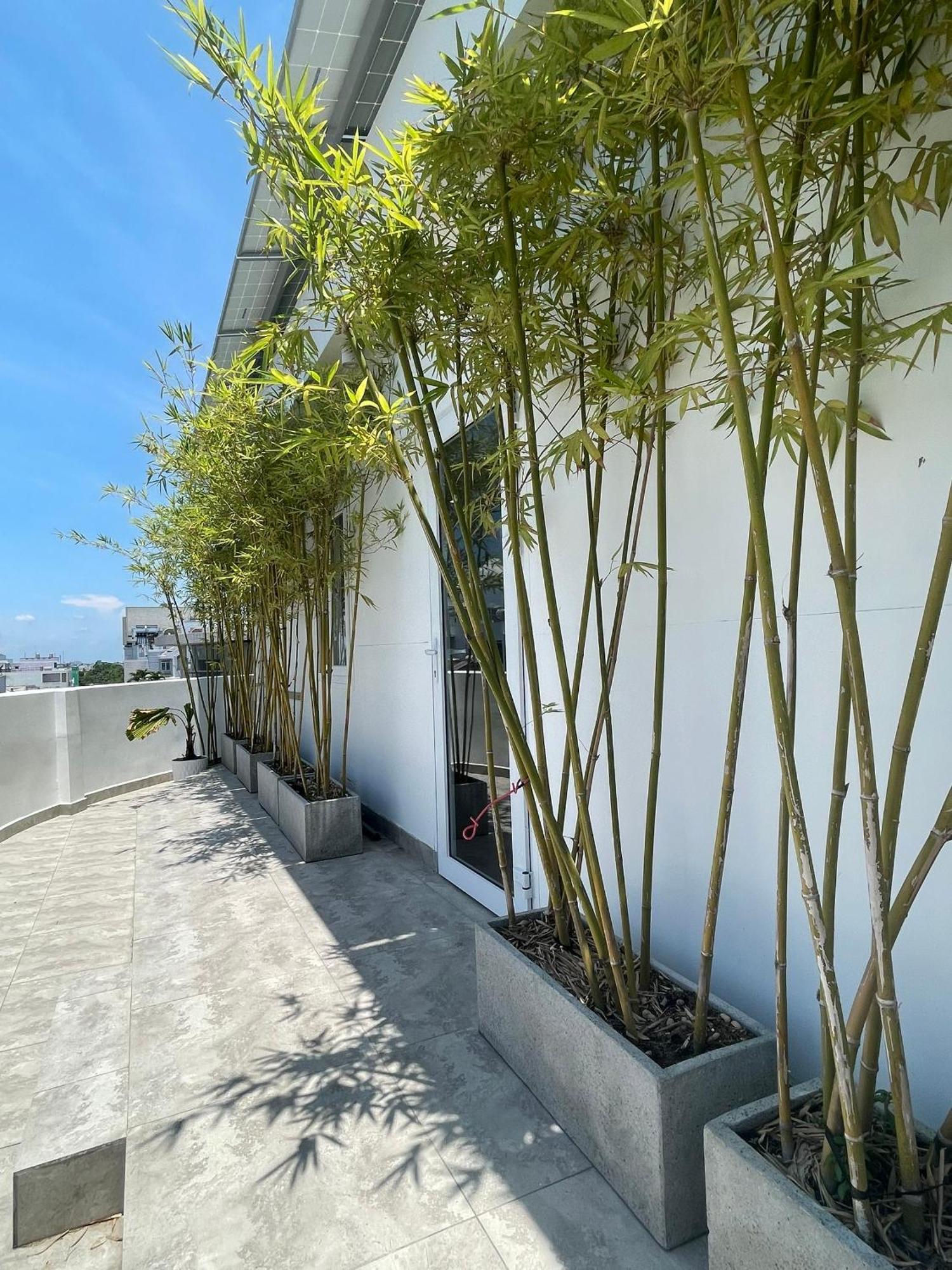 The Ck Hotel 쩌우독 외부 사진